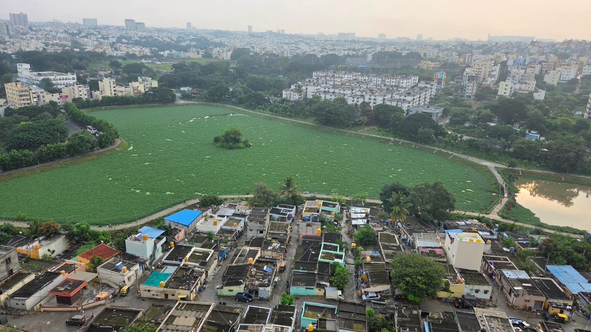 sameera_b's tweet photo. @GBA_office @comm_blr_south @krishnabgowda @ajaydharamsingh 
Fate of Subramanyapura Lake - its choking … please action immediately on this - @Kaddcool @RBPachhapur @ChristinMP_ @Santoshbn7 https://t.co/BiAnDDMix8
