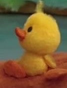 lixieshaven's tweet photo. little duckling :3 https://t.co/iCfC7s5wkN