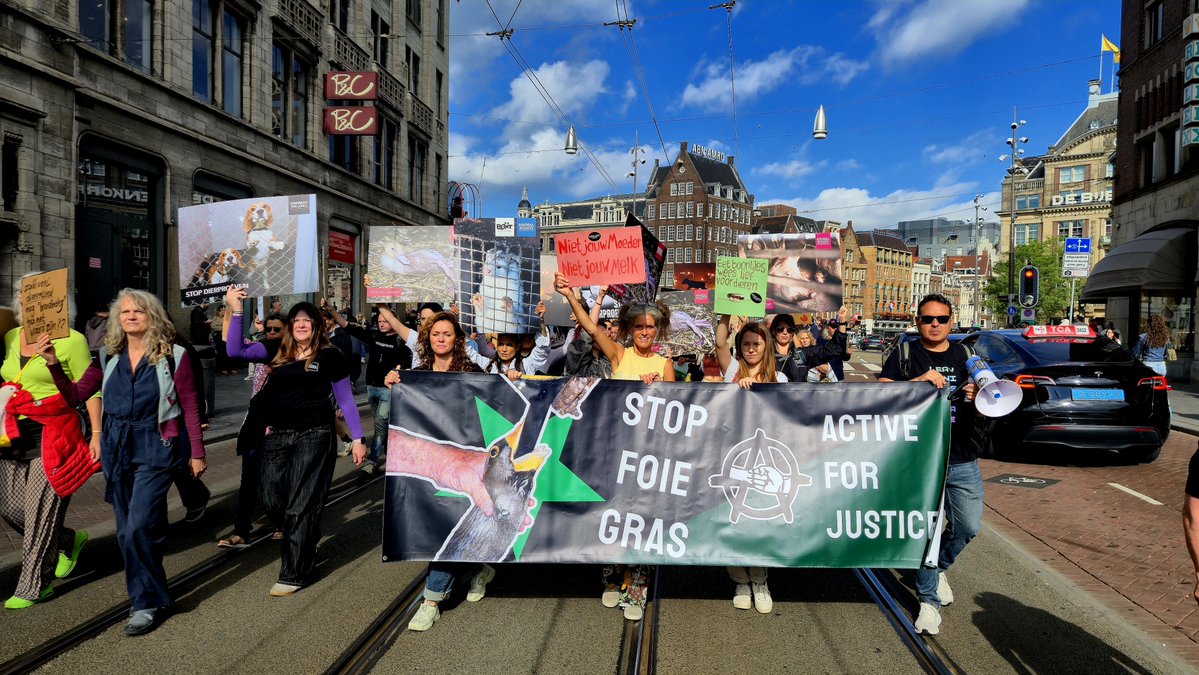 PersburoUNN's tweet photo. Demo op de #Dam in Amsterdam"Elke Dag is #Dierendag " #Vegan Stop de bioindustrie tocht gaat naar het #Museumplein https://t.co/zqZxLD2jpm