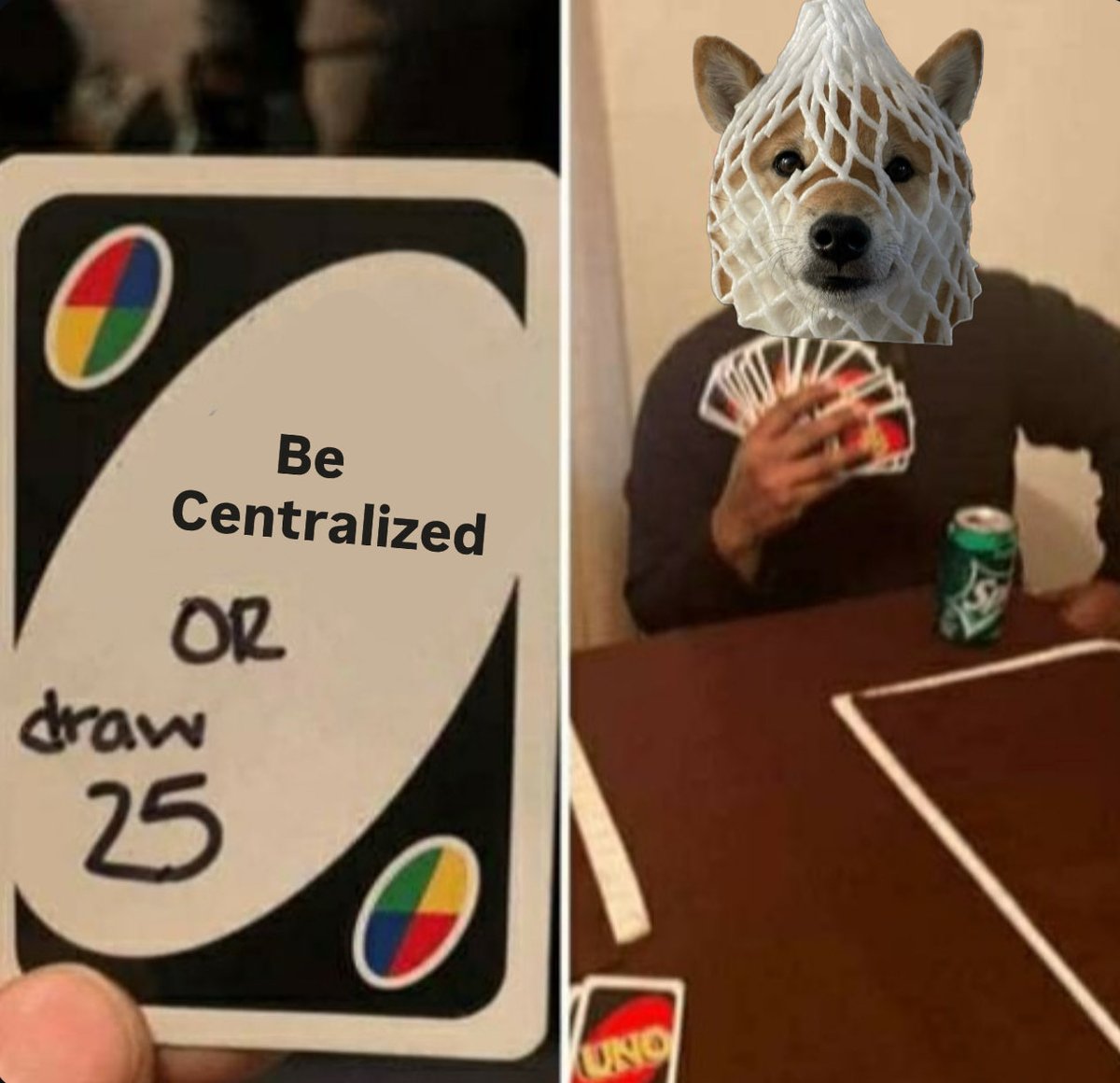 wrappedTC's tweet photo. @wrappeddog $wDOG #DTO $SOL https://t.co/vfESHyI8K8