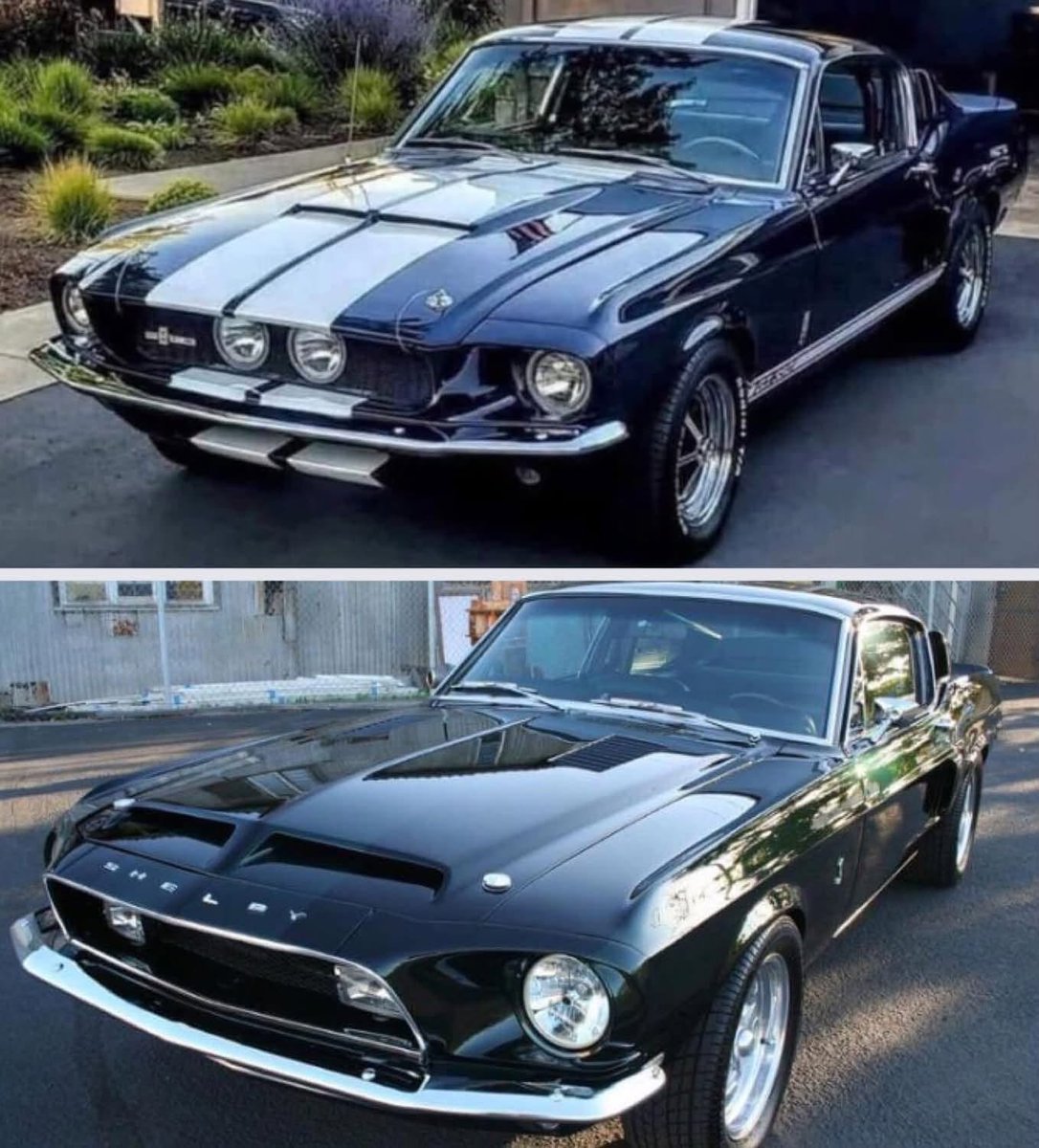 Bella250689's tweet photo. 67…or…68…Mustang Shelby GT 500 😎 https://t.co/9qaGKWOqSR