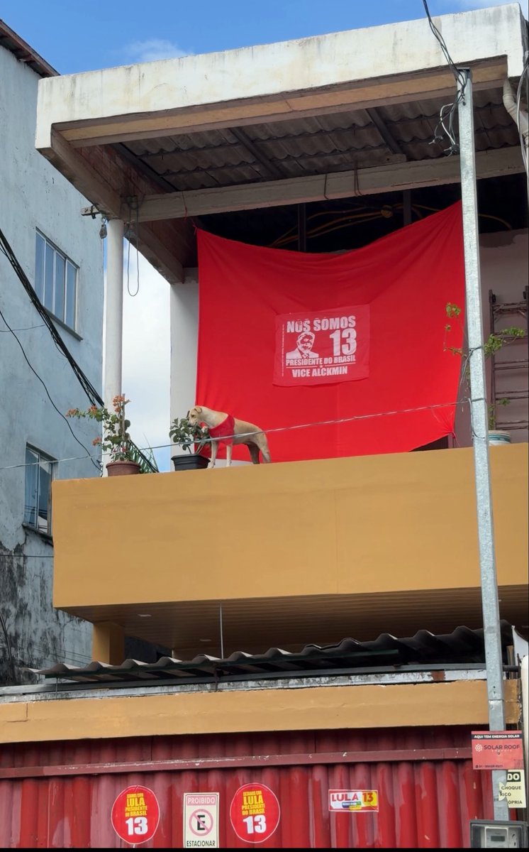 matylinhares's tweet photo. Terra Firme, bairro de esquerda! https://t.co/bMoZww2fQG