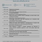 Photo by PROMEDRICE_PRIMA (@PROMEDRICE)