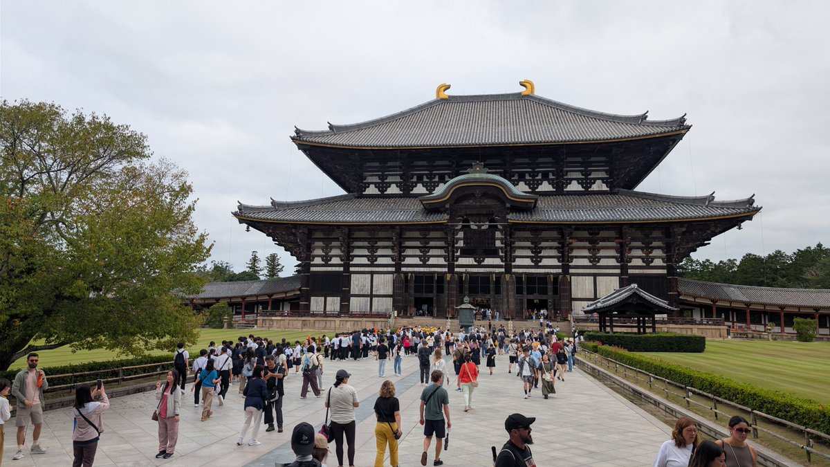 dtes95414's tweet photo. 09/17 這天走東大寺、奈良公園、平等院跟伏見稻荷神社~看超好看的鳥居 https://t.co/EUwBPauxMq
