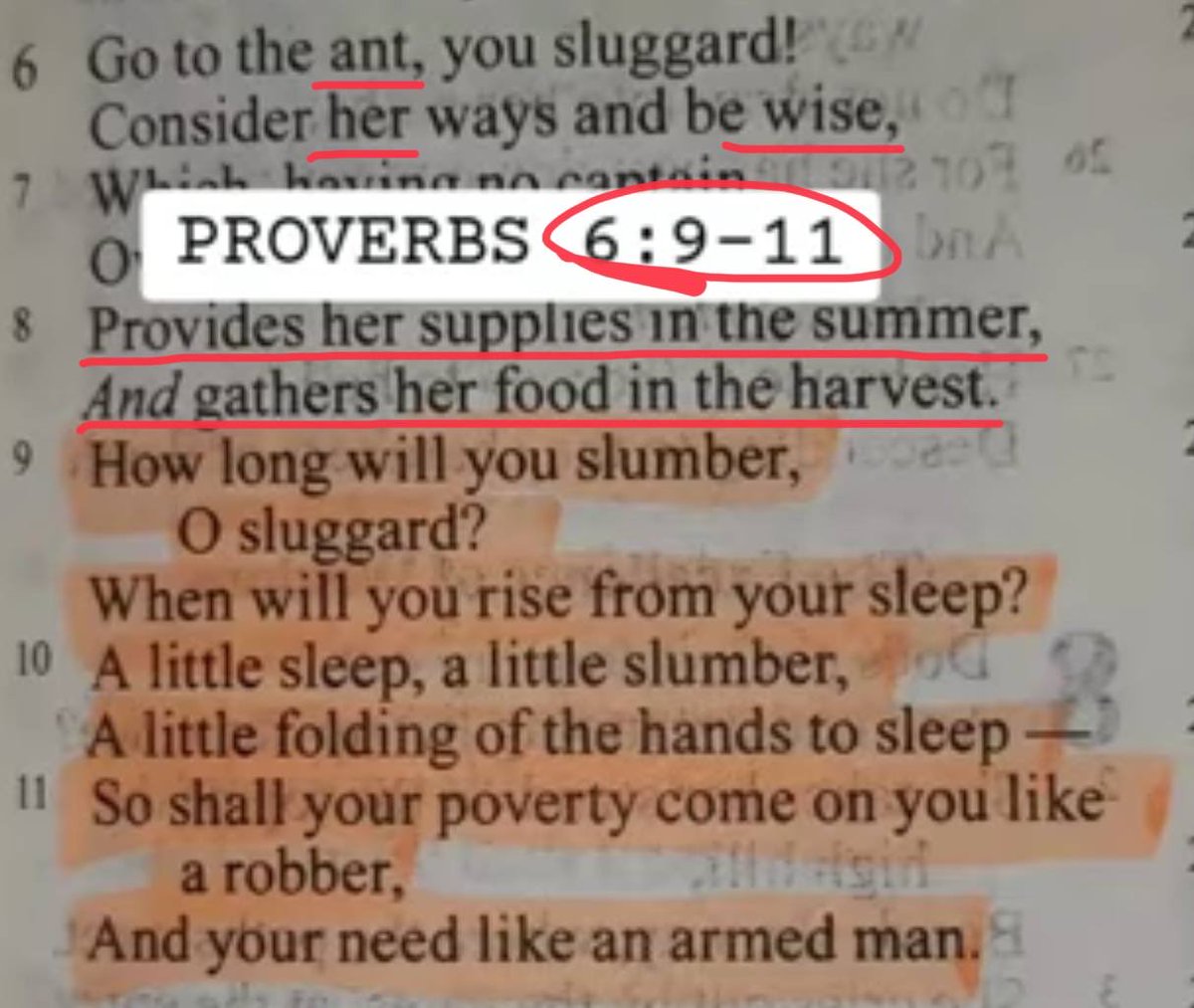 CeoCozyheART17's tweet photo. @DenyTheMark2020 @realDonaldTrump @GenFlynn @Bayer I found it strang e that @sophieraiin liked your post then next day everyone had stories out about her. Everyone. I don’t beliEVE in coincidence. God bless you to my fren. I believe you. Your work and humility to learn others tells me al I need to know. We a merely calf’s📕🖼️ https://t.co/HQ3HlrFFGx