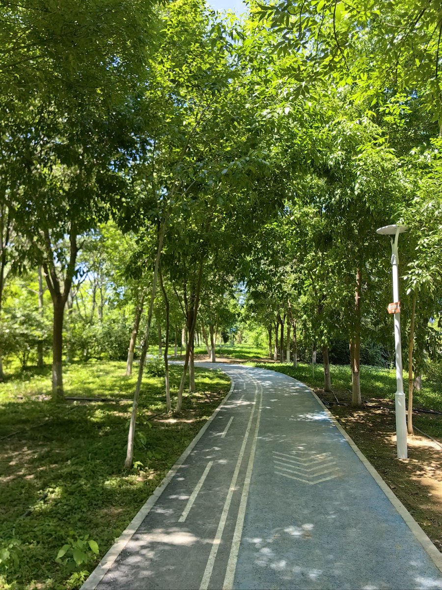 TanjaHxa's tweet photo. Salí a caminar por el parque este mediodía, el sol es suave y el aire es fresco, la vida tranquila es tan agradable! https://t.co/eVtOH9aANe