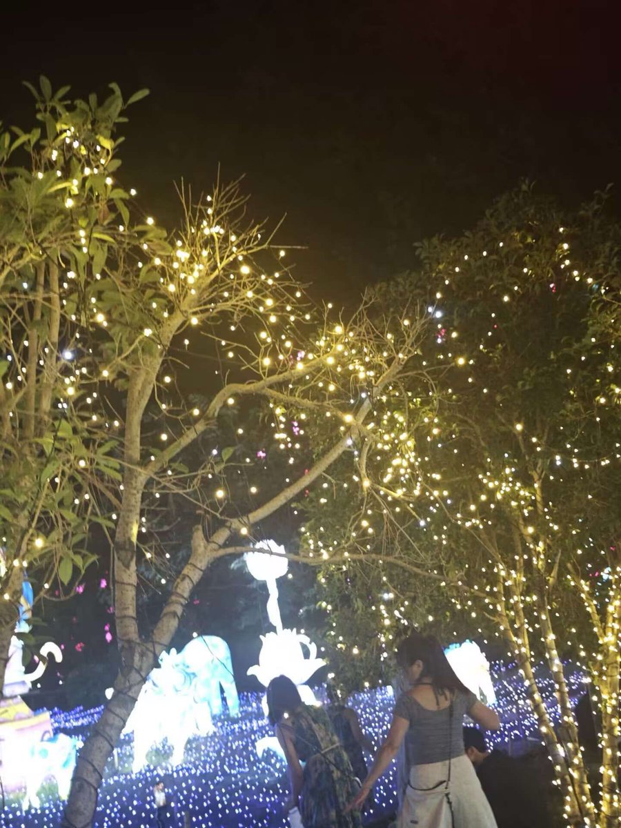 wendadeco's tweet photo. IP67 Waterproof LED Fairy Lights — Made for the Outdoors ✨

Warm white glow, connectable strings, and a fully sealed IP67 build that shrugs off rain, snow and frost. 
✉ jackygong@wendadeco.com
#fairylights #outdoorlighting #ip67 #waterprooflights #christmaslights #wendadeco https://t.co/b8hY3Q0Fjk