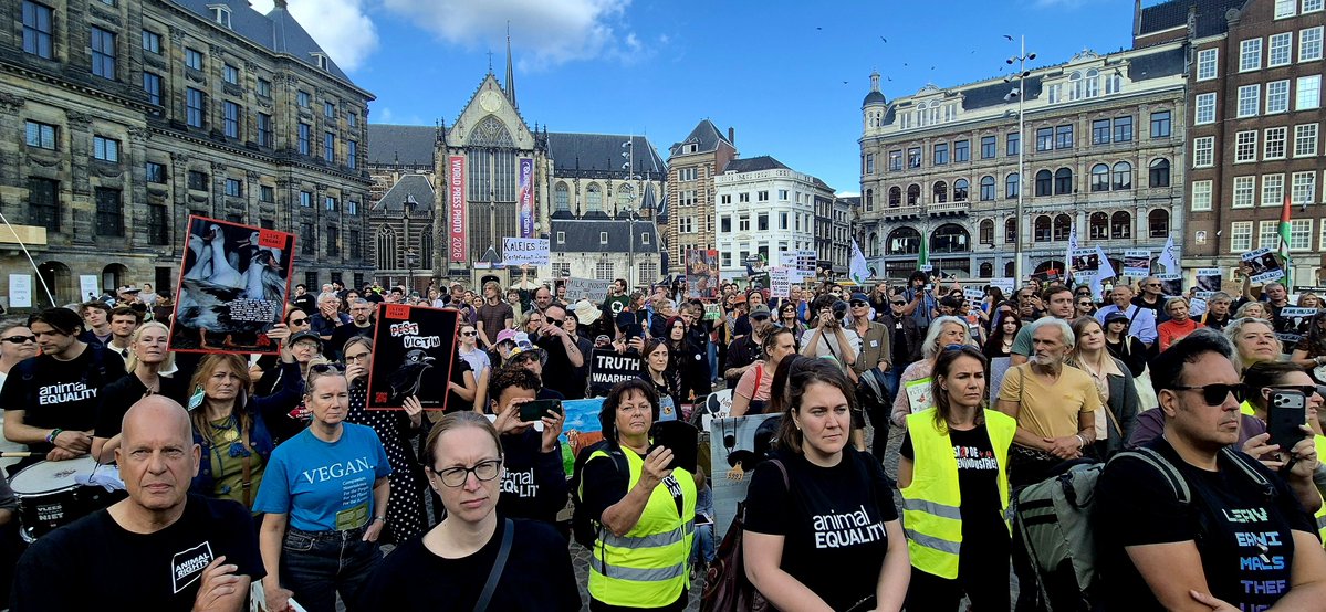 PersburoUNN's tweet photo. Demo op de #Dam in Amsterdam"Elke Dag is #Dierendag " #Vegan Stop de bioindustrie.. tocht gaat naar het #Museumplein https://t.co/oEWUEXpTAF