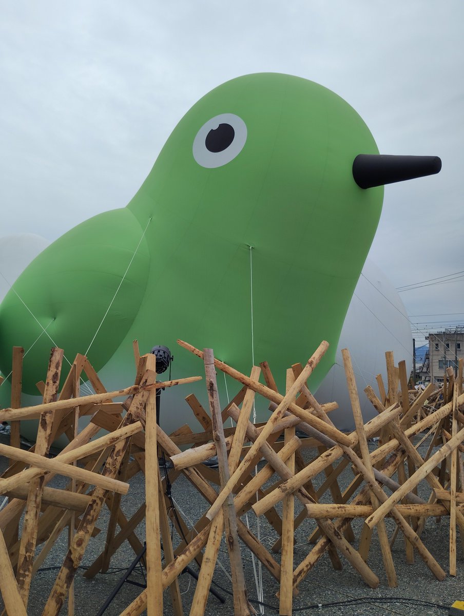 ghO3x4NfTY89LM2's tweet photo. 巨大メジロさん🐦💕
存在感かなりある🙌🙌🙌🙌
#NESTIVAL
#鳥栖 https://t.co/JFRg3gZzer