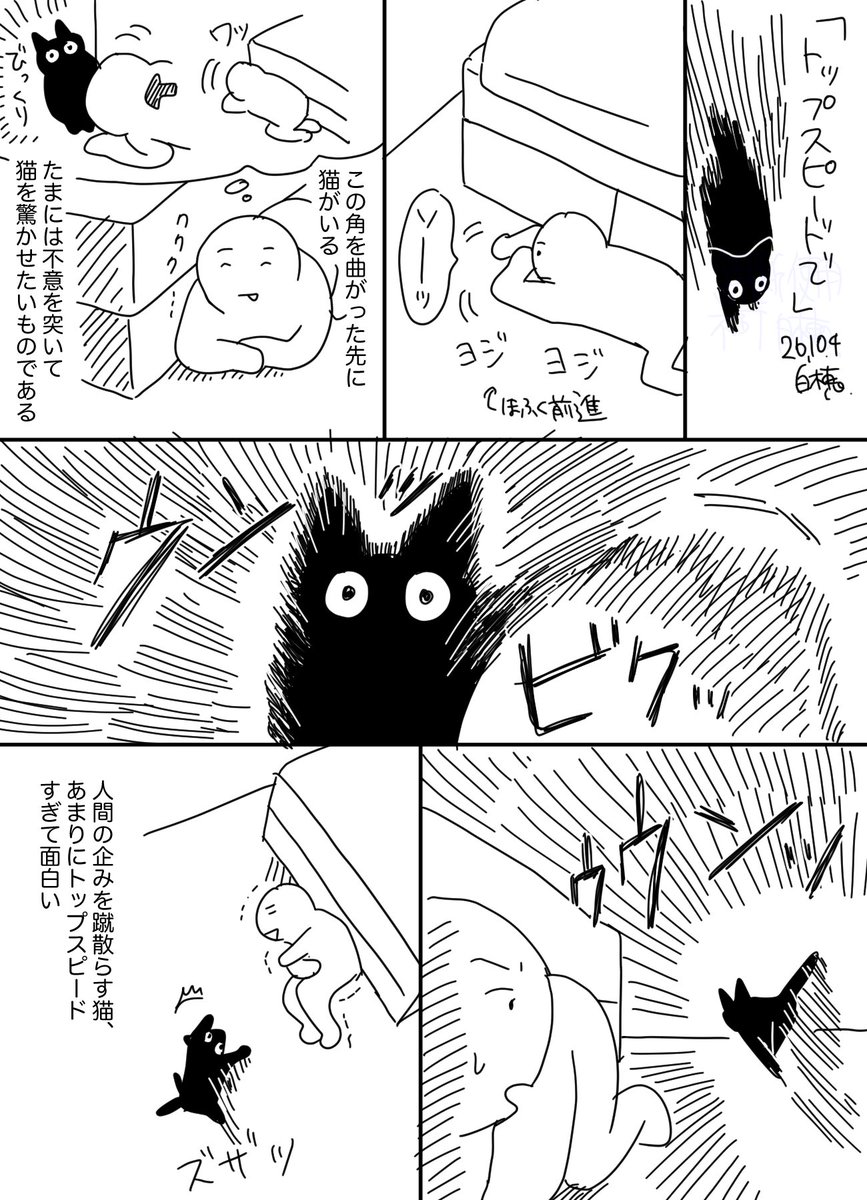 smilecat_uk's tweet photo. トップスピードでやってくる
#日記 https://t.co/bVZ1TYvn29