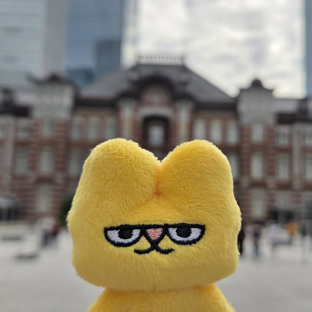 cf3gsg's tweet photo. https://t.co/6FtsUmgyJ3