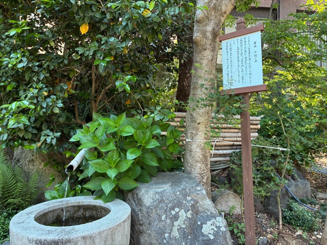 kanoko256's tweet photo. 小梳神社　　　　　　　静岡市
静岡で古い格式ある神社で、現在の静岡県庁の東、小梳に鎮座していました。家康公が幼少期、今川家の人質として住んだ際、武運長久を祈願したといわれています。江戸時代中期に移転しましたが、駅前のにぎやかさを忘れ、穏やかな時間をすごしました。 https://t.co/rcjn3QS9ag