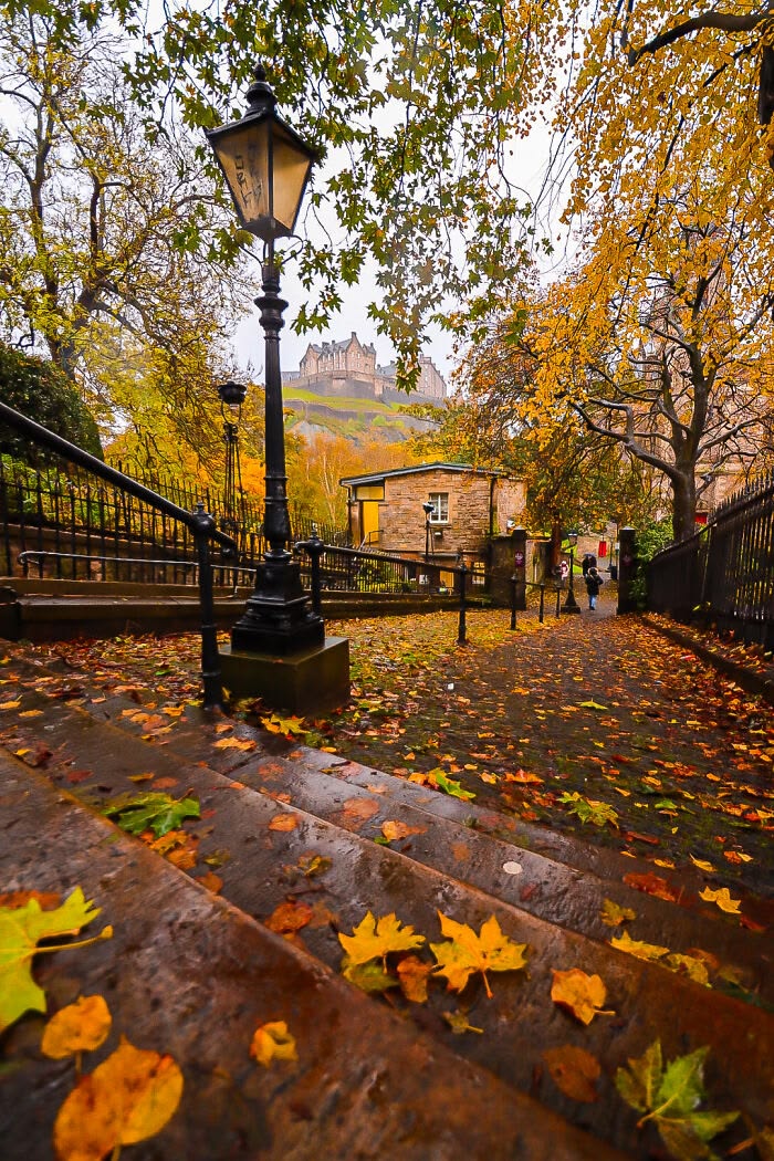 MonicaDrie's tweet photo. 🍂🍁 https://t.co/IYqU1AthcA