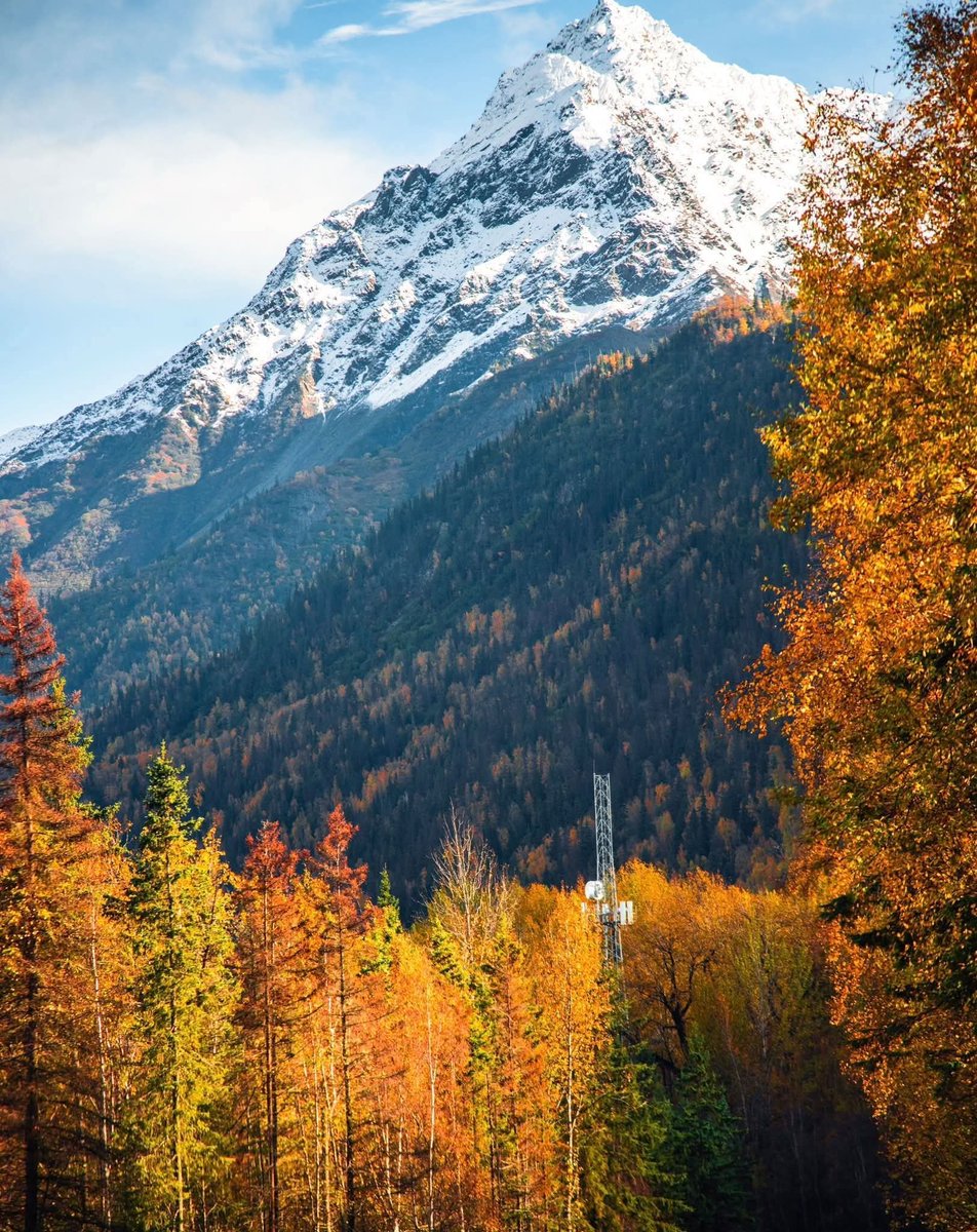DNatives67667's tweet photo. Fall Day in Alaska 🇺🇸🍂 https://t.co/Z3hpgXExmx