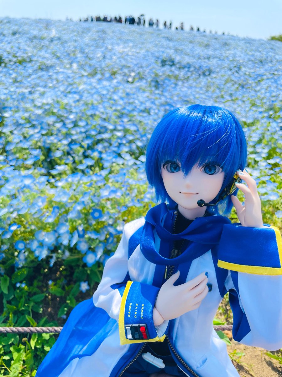 yomi_kai0131's tweet photo. 可愛いうちのKAITOみてみて
#KAITO
#DDKAITO https://t.co/HpLETWjczi