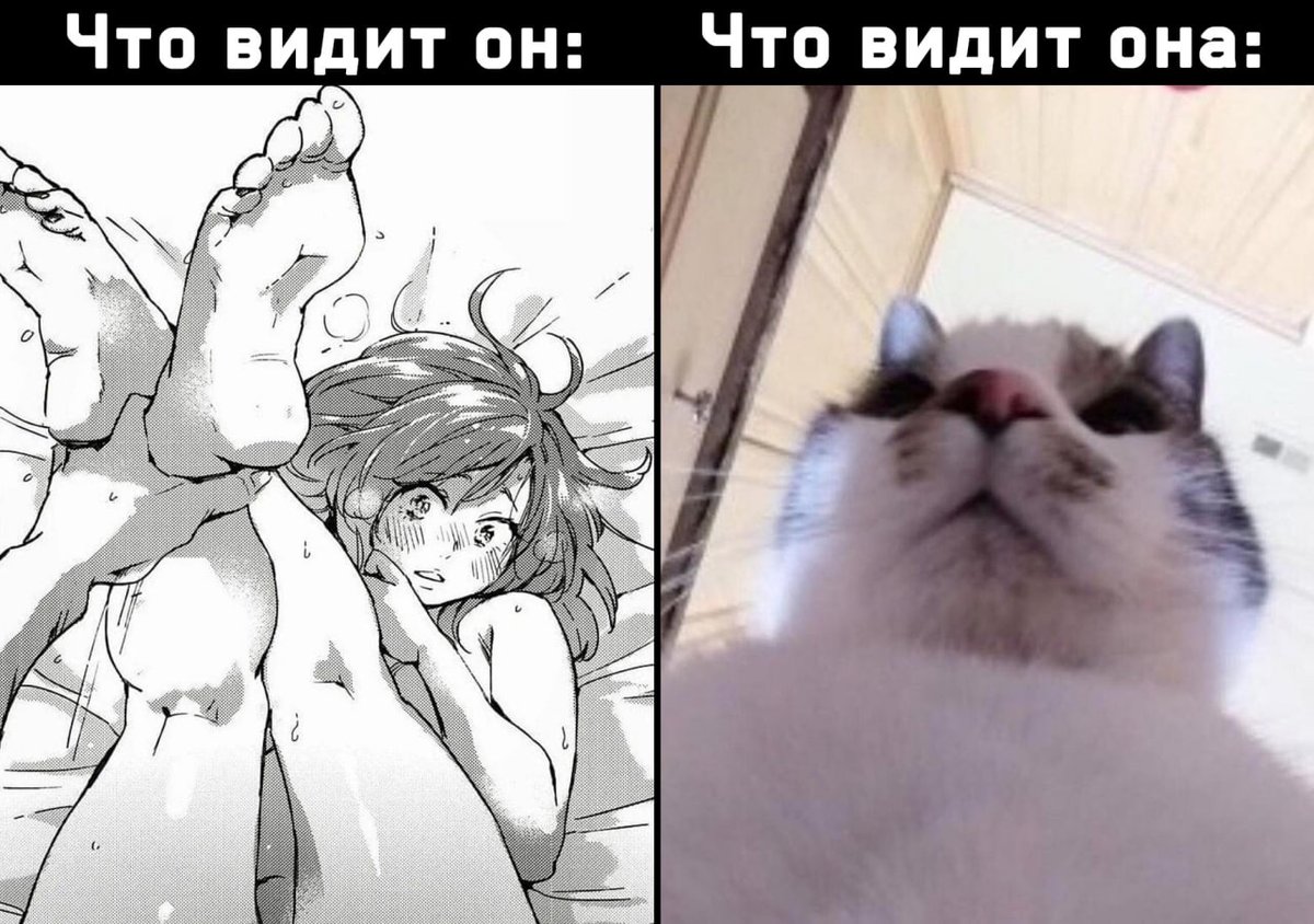 Lemon_q_'s tweet photo. https://t.co/LDkgH5uONQ