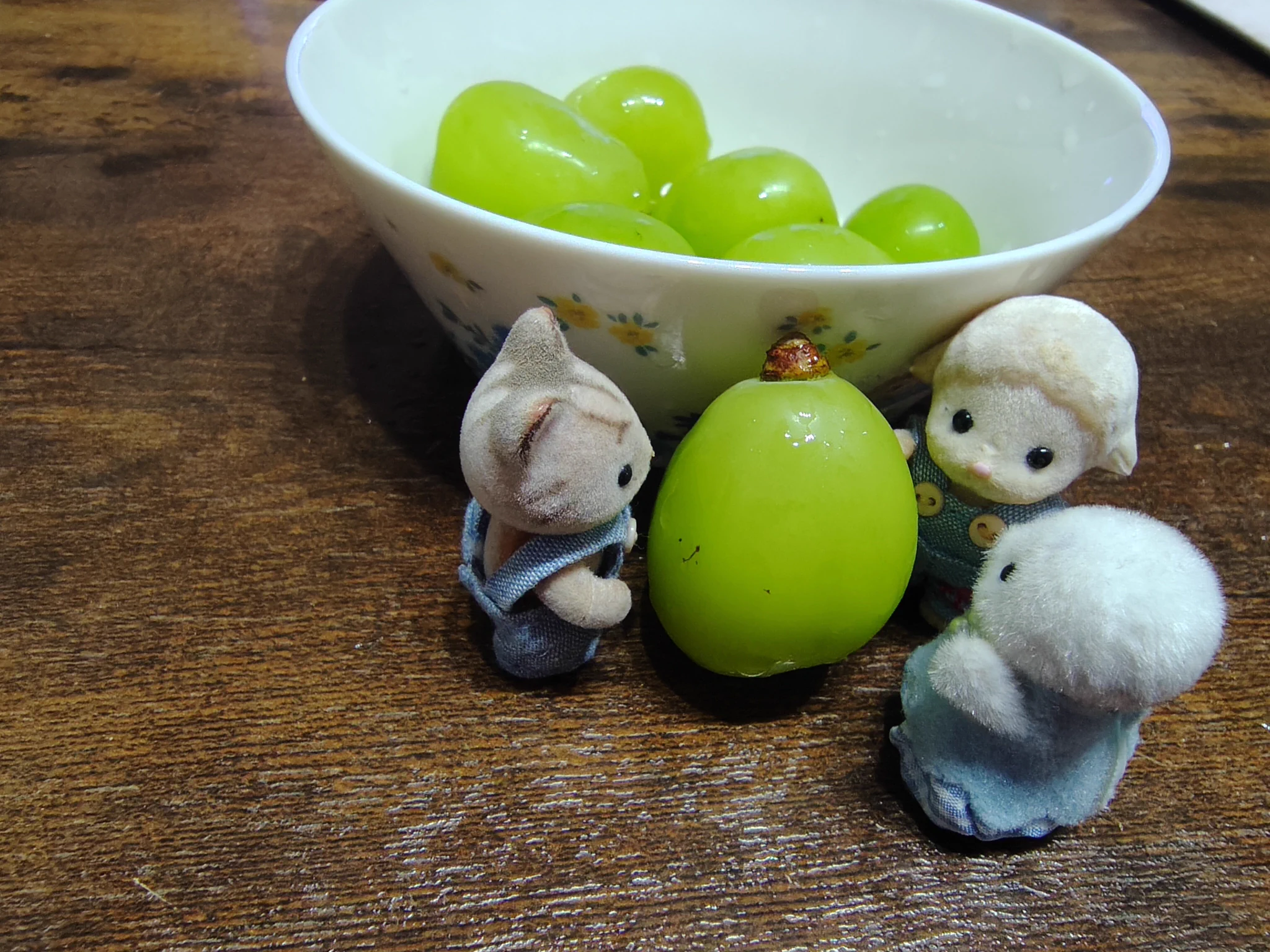 いちご(主🍓& えま·しま·まる 家族の日常) على X: 