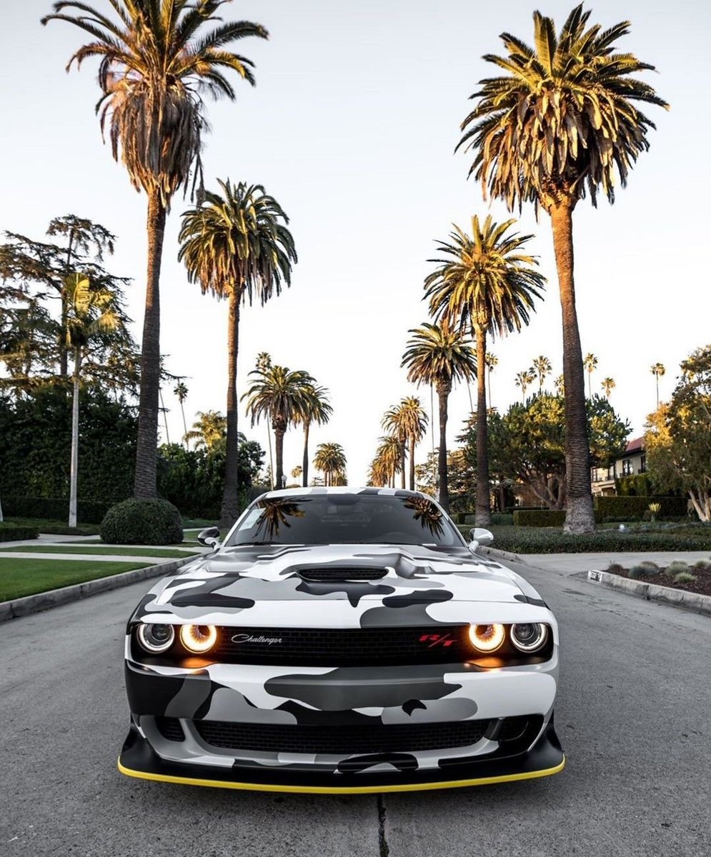 SkymanFSU96's tweet photo. Digital camo wrapping this muscle car while glowing orange halo eyes stare down the palm-lined boulevard. Ready to strike. 🌴🔥 https://t.co/zrVy1vqWFO