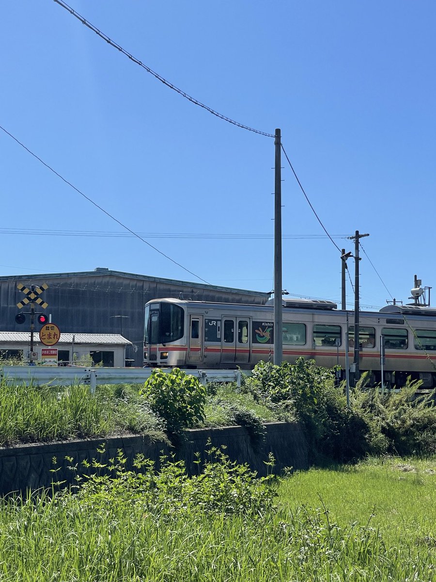 PlcjV's tweet photo. 姫新線スタンプラリー達成したぞー。車窓一面に広がる黄金色の稲穂の景色に秋を感じたよ https://t.co/2iPSGJAvsc