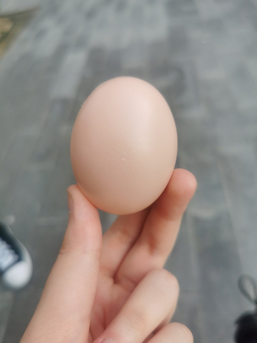 pplekrisp's tweet photo. * my con haul + gaster cosplayer gave me an egg. im still at the con https://t.co/wyZOU6tH4G