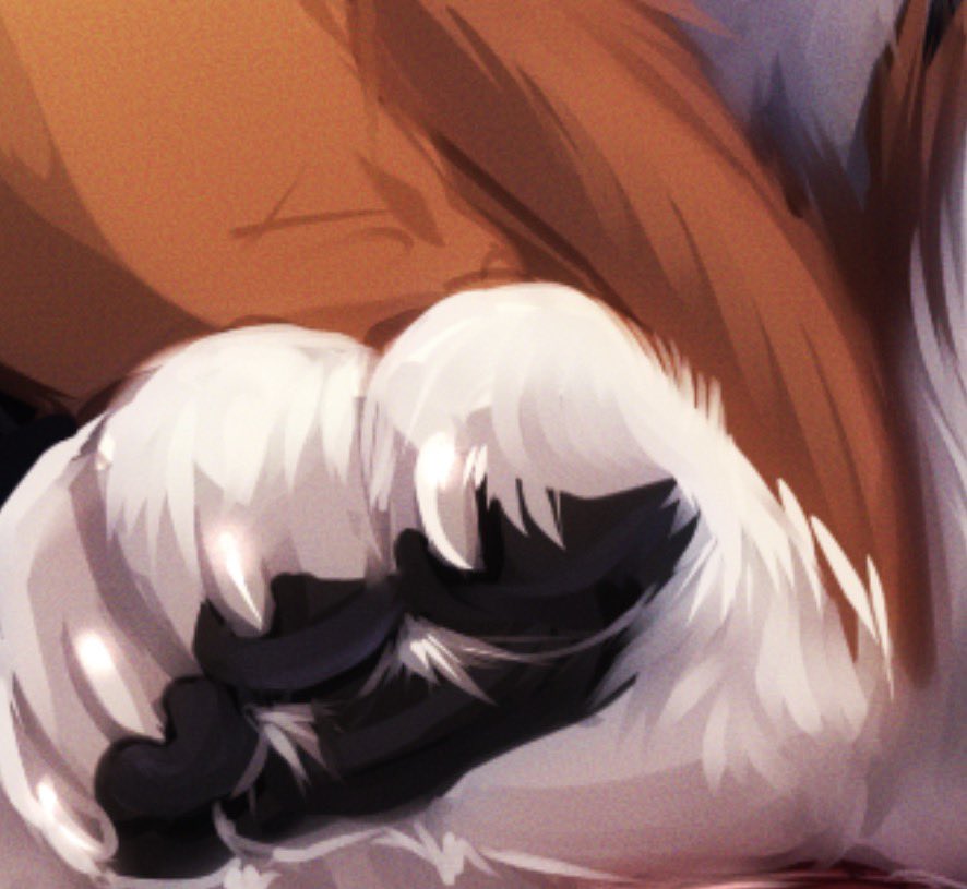DutchWoof tweet picture