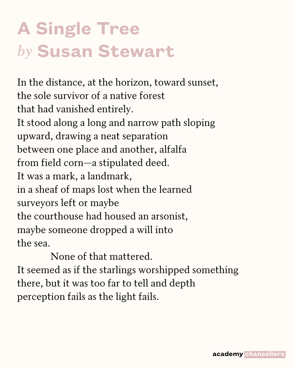 POETSorg's tweet photo. 10/4/26 “I used to think I knew that tree and it
knew something of me—” https://t.co/OVFkJFUPQV