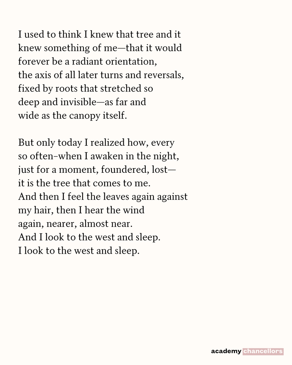 POETSorg's tweet photo. 10/4/26 “I used to think I knew that tree and it
knew something of me—” https://t.co/OVFkJFUPQV
