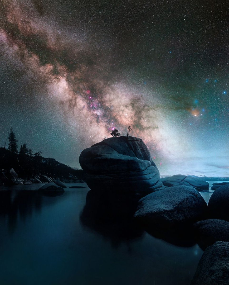 unsplash's tweet photo. This category showcases nature’s beauty, from vast landscapes to macro details, transporting viewers to the outdoors.

Official Judge: Sarah Gardner from @NatGeo

Head over to https://t.co/8iWmoPETib to submit to this year’s 

#UnsplashAwards https://t.co/ZI2X1goKqW