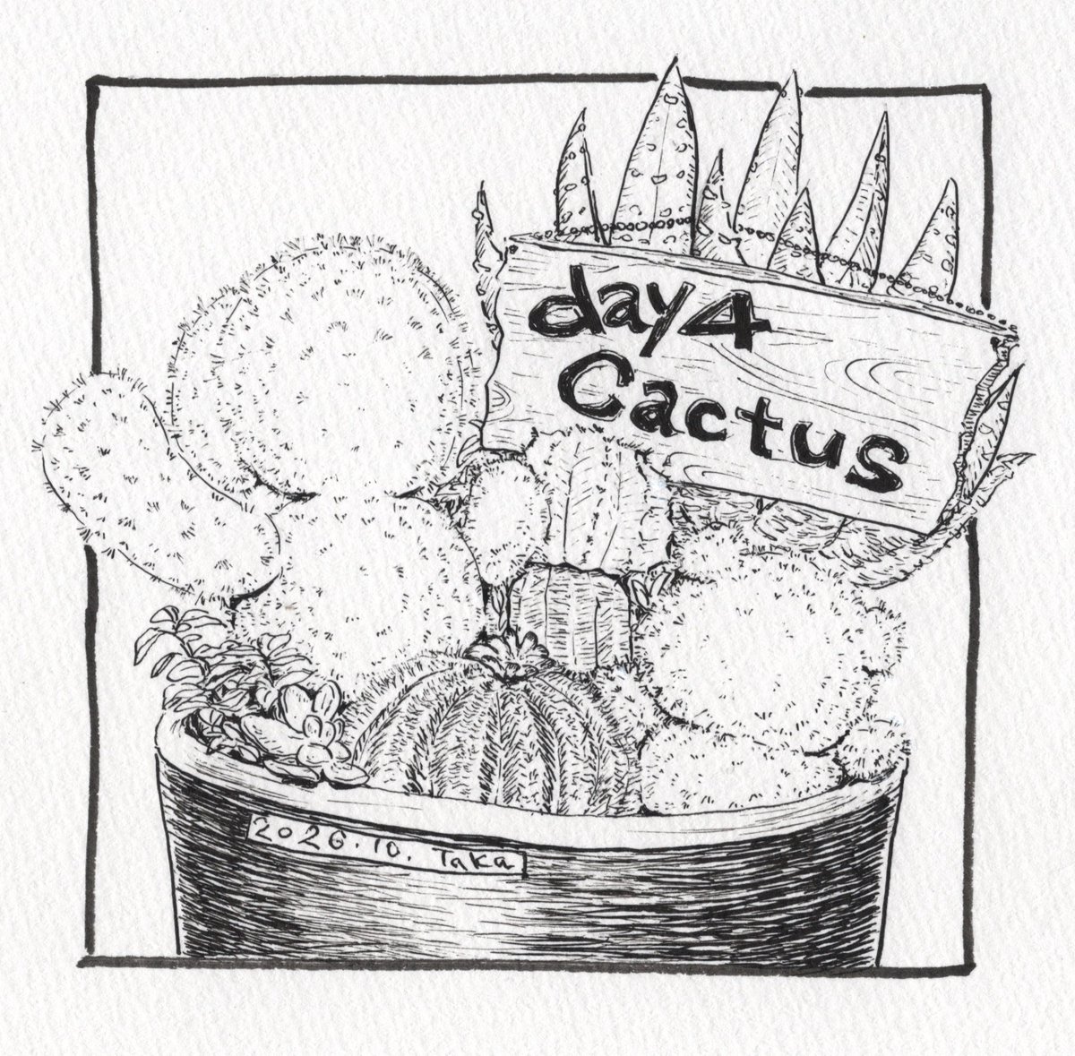 0IF2wdCE6xHgEeP's tweet photo. #inktober #inktober2026 
day4 【cactus サボテン】 https://t.co/skqtLNSozP
