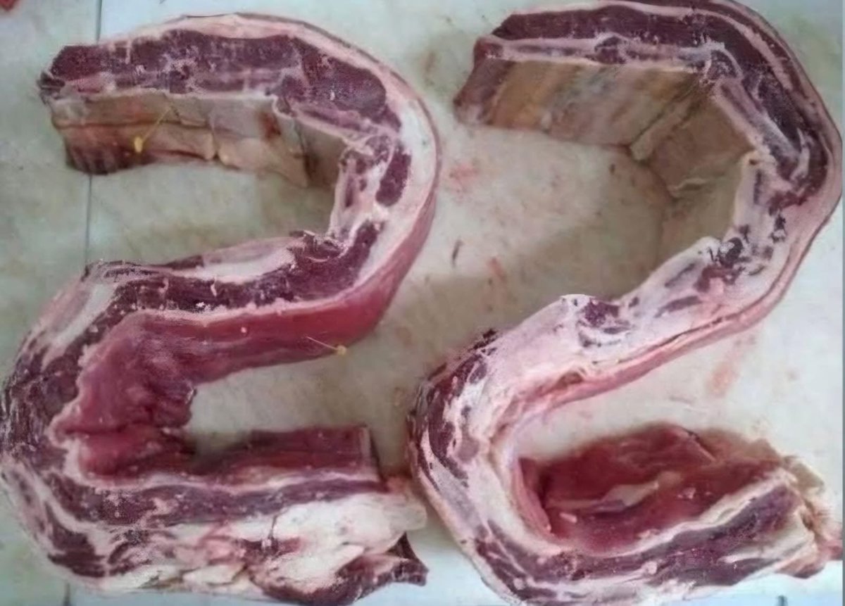 dmarcioaurelio's tweet photo. Ótimo domingo para todos!
Aqui no RS, dia de churrasco! https://t.co/MmCC43IOFu