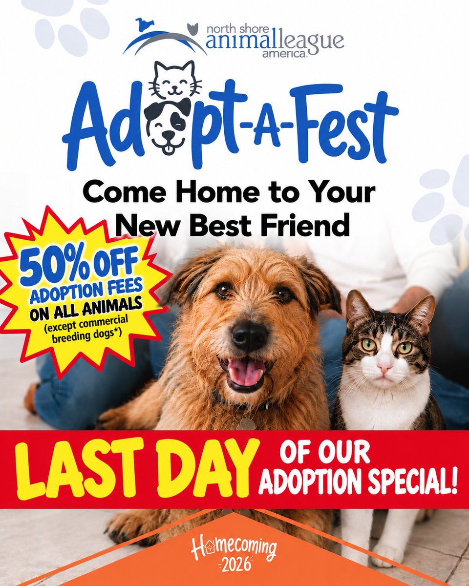 AnimalLeague's tweet photo. 🎉 IT"S THE LAST DAY OF OUR ADOPT-A-FEST ADOPTION SPECIAL! 🐾🏡

TODAY, SUNDAY, October 4, is the LAST DAY to take advantage of 50% off adoption fees on all animals (except commercial breeding dogs*).

Adopt your new best friend!

📅 Sunday, October 4
📍 North Shore Animal League America | Port Washington, NY
🔗 https://t.co/eDygPSDx8D
#GetYourRescueOn