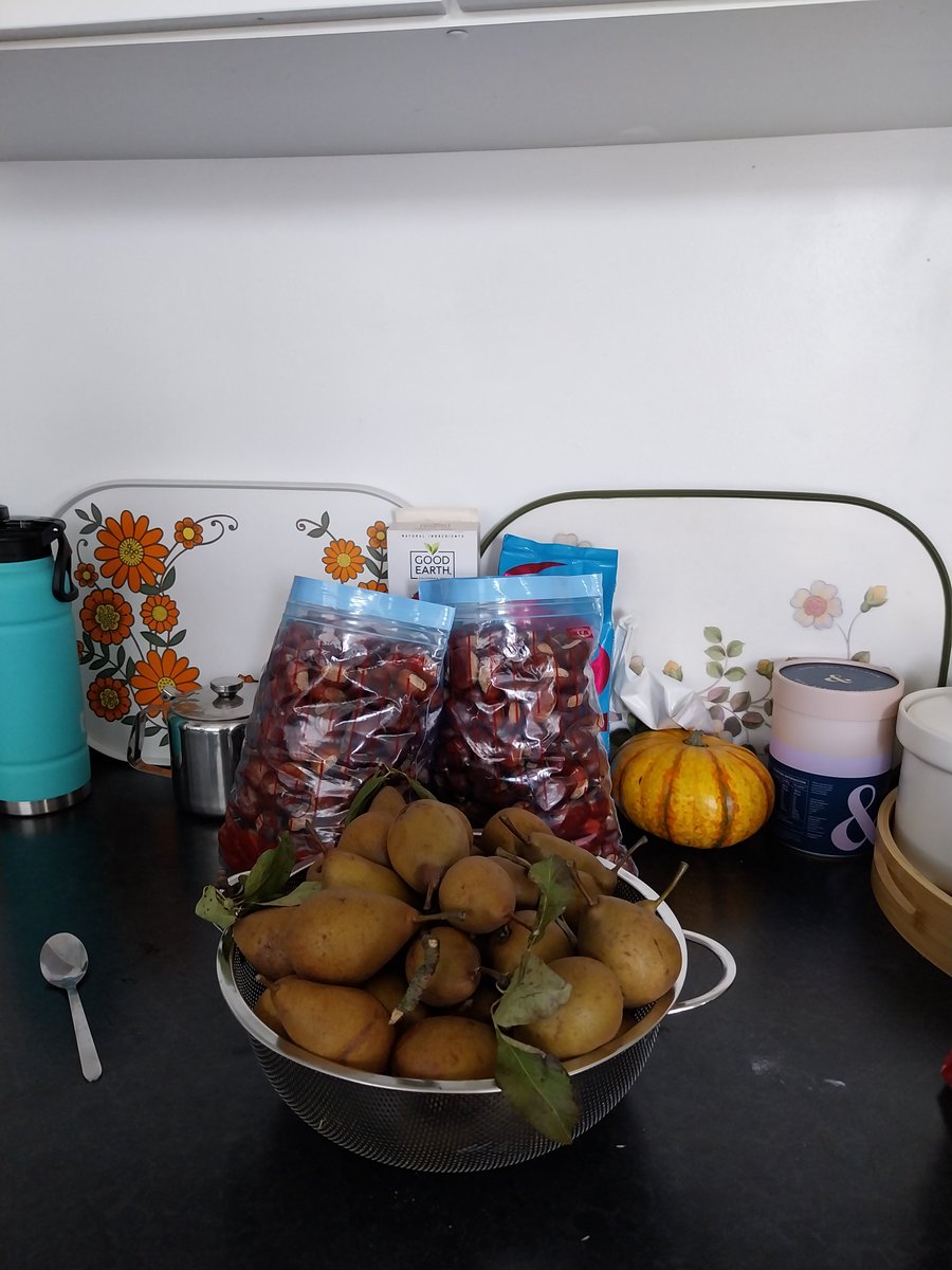 jo_kelllo's tweet photo. More #foraging , pears for jam and it's a great year for chestnuts. https://t.co/o51aSmvrIZ