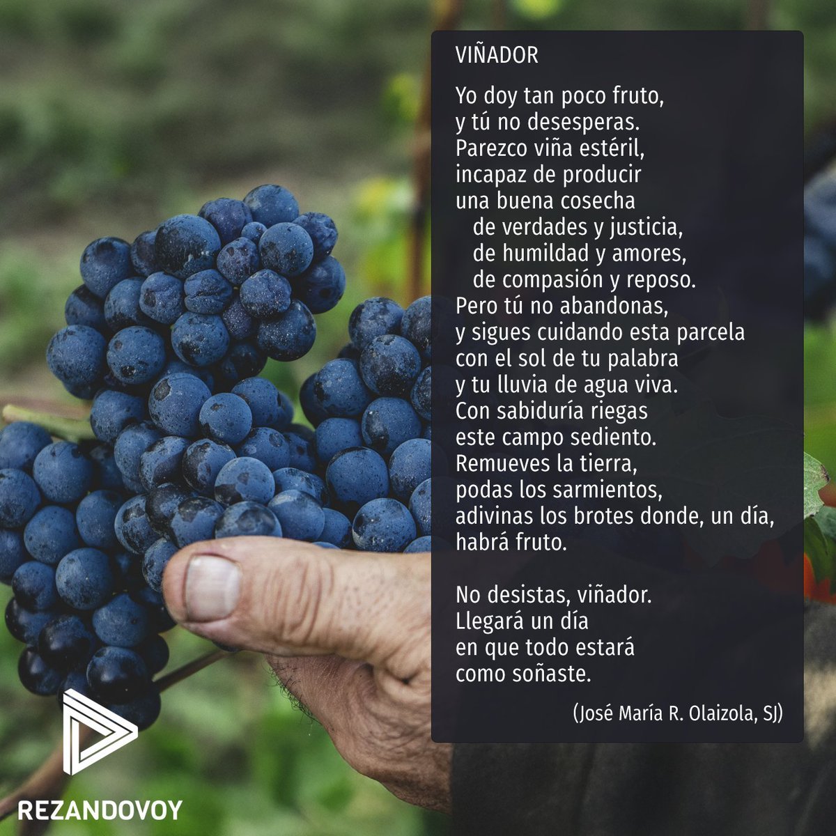 rezandovoy's tweet photo. No desistas, viñador...

Escucha este texto en la oración de hoy:
https://t.co/VkHm2BMQwu https://t.co/Y8EElnP5AP