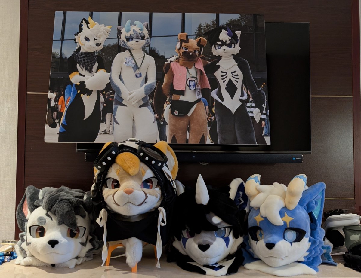 cheetah_paws's tweet photo. Family gather up! https://t.co/1dH7qRaLkY