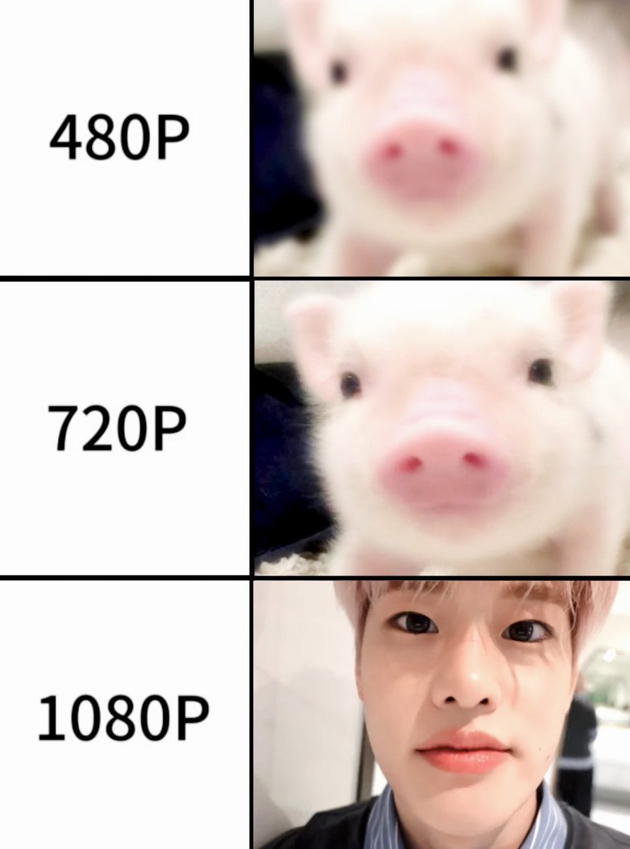 sohichaan's tweet photo. 🐽🤏🏻 https://t.co/1BPveSgeYW