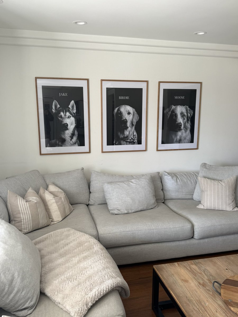 RyanSurettePGC's tweet photo. The wall of current and former golf course dogs @DogsOfTurf https://t.co/bJl5GbEKx2