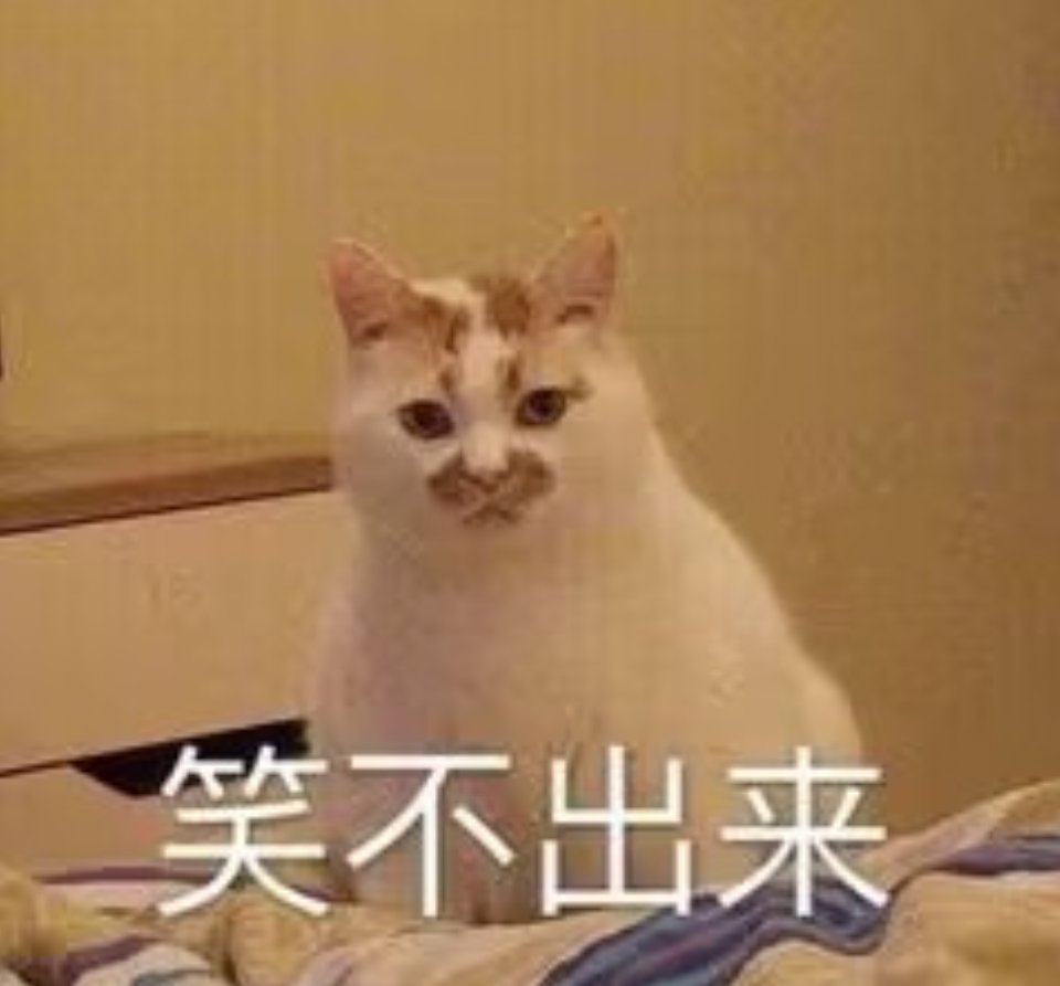ZGTIIO's tweet photo. @Akari_mxm 哪里有色图，哟西 https://t.co/HTKUmddc0X