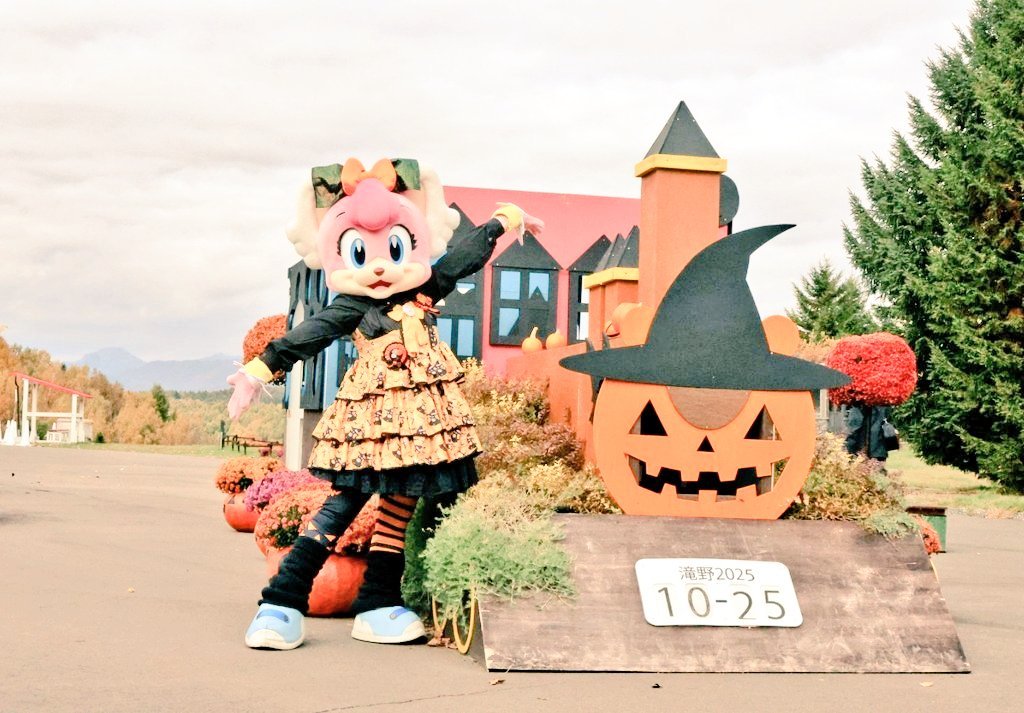 sakuraanoco's tweet photo. #これを見た人は無言で去年の１０月の画像を貼る https://t.co/ZPXiRg9DWz
