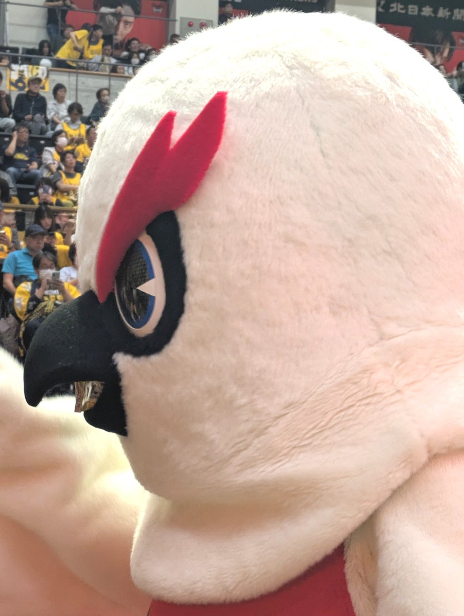 32Yukarikun's tweet photo. #富山グラウジーズ
#グラッキー
#異物混入2
#デジャヴ

グラッキーも口になんか詰めてた😂
最近のBマスコット界のブームなのか？？😂😂😂 https://t.co/BHWCO3N2yh
