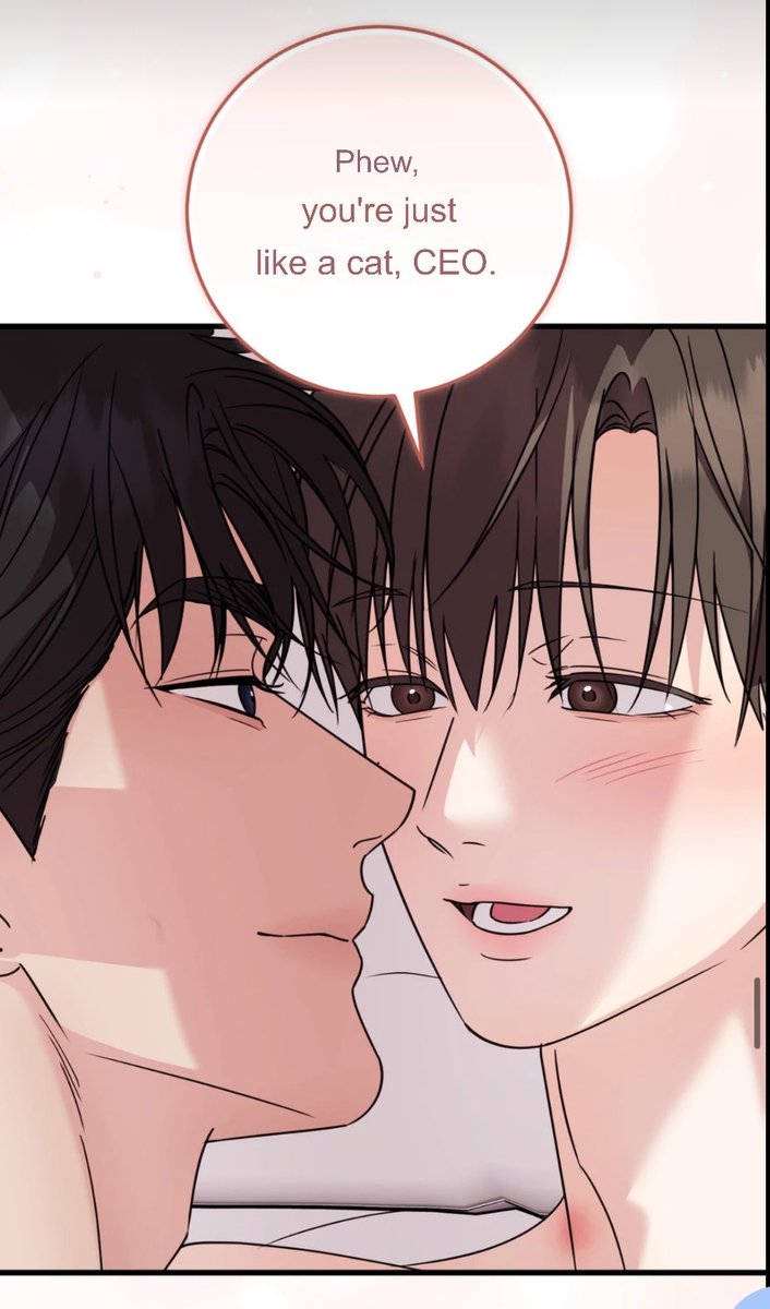 satomicats's tweet photo. siyul got his own clingy cat https://t.co/YkVXms8dBB