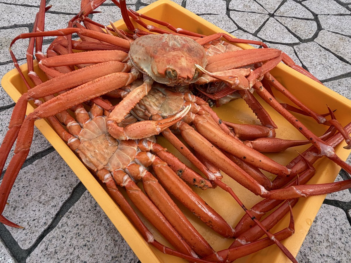rikaaa_9's tweet photo. 週末の新潟プチ旅行楽しかったー！

・南魚沼寄って新米購入🌾
・道の駅でカニ🦀
・帰りに長野県寄って欲しかった
　シナノスイートと秋映ゲット🍎

まだ行ったことない都道府県が
残り５県しかないんだけど
30代前半で制覇出来そう🤍 https://t.co/9s7Vld2A2r