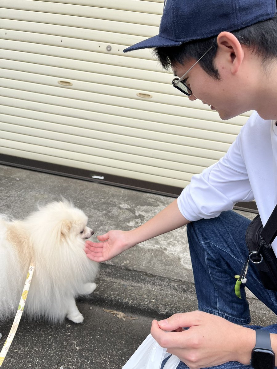 tsu_7888's tweet photo. ふみやくんの整体施術とわんこの人慣れ作戦…… https://t.co/ccZKxBqOCh