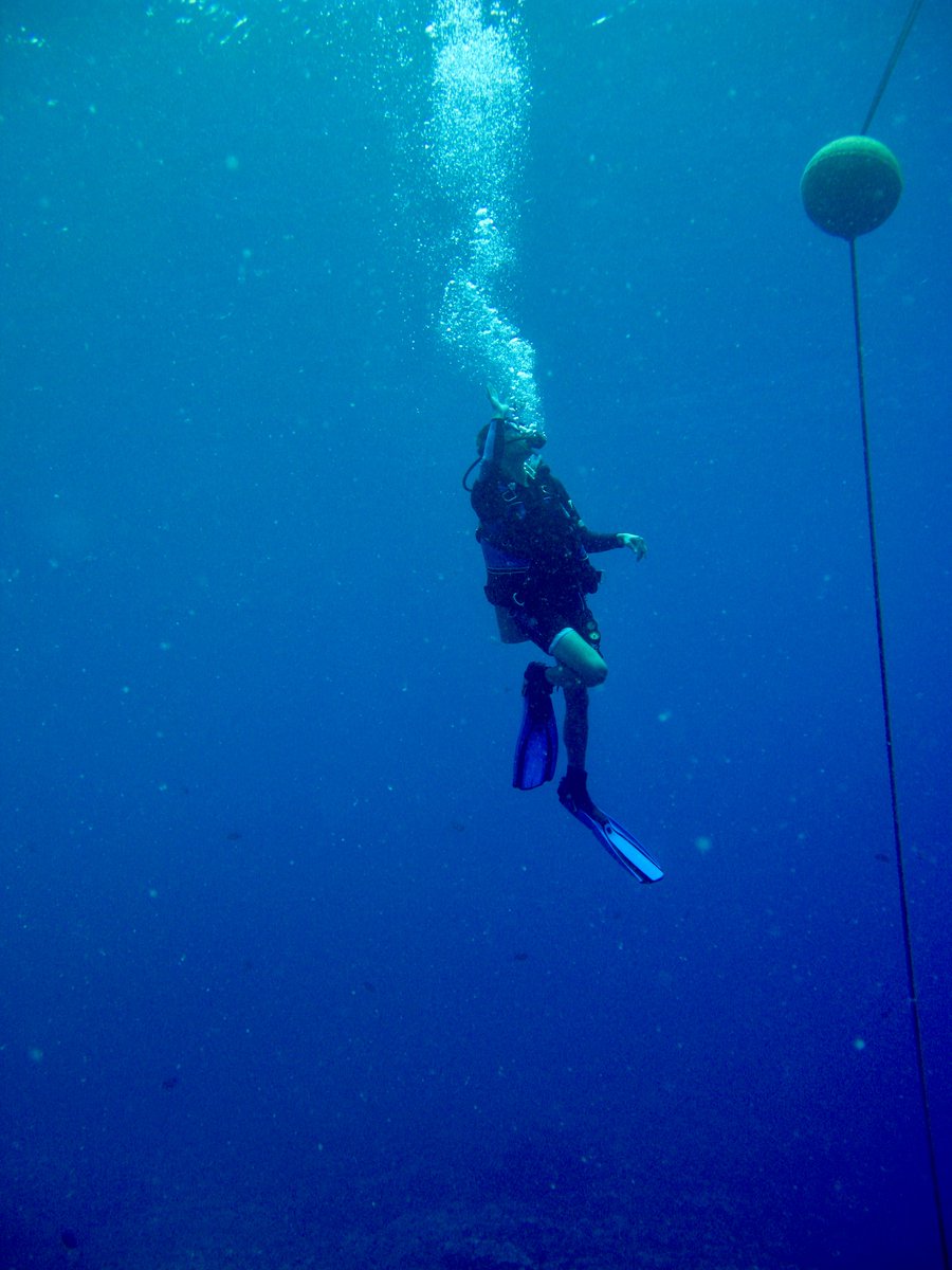 badbrain33's tweet photo. @DailyPicTheme2 #DailyPictureTheme #Buoy 
On the way to the surface, somewhere in Hawaii… https://t.co/Xw1s9k62KY
