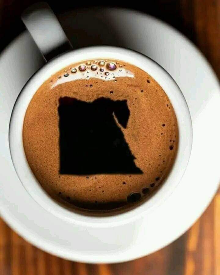 OmarGhazy_'s tweet photo. صباحكم مصري ☕️ https://t.co/RijLnjlYgl