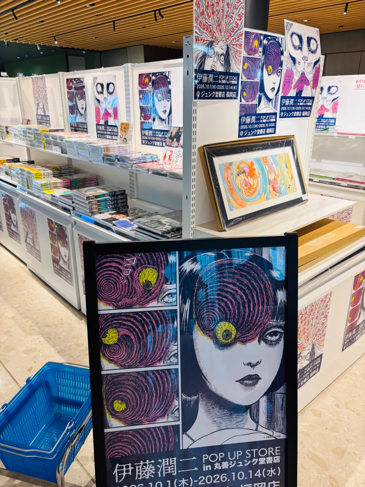 吉本早輝子Sakiko Yoshimoto 🧞‍♂️🐉🦄🧚‍♀️🌈 on X: 