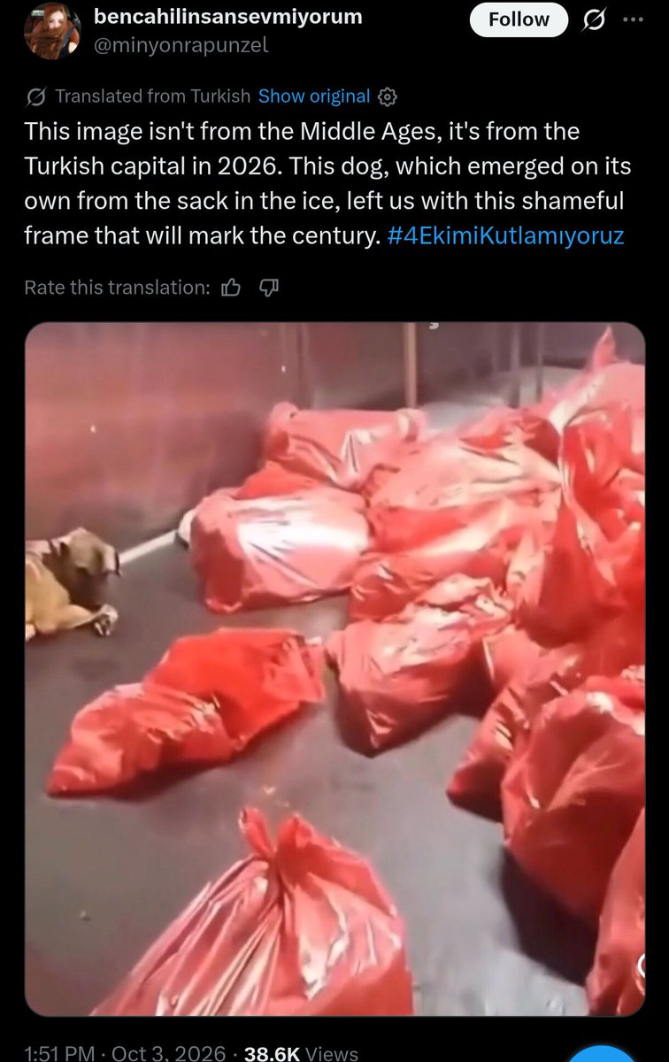 PhaedraXTeddy's tweet photo. Not only have dogs been found that had been buried alive in #Turkey 🇹🇷 , but bagged alive sometimes drugged and bagged, he crawled out of a bag  but he's in a freezer.
Politicians on left took a selfie celebrating the law to get rid of dogs.
#4EkimiKutlamıyoruz 
#Feritiçinadalet
Approximately a million of them were crudely destroyed in #Turkey 🇹🇷 because of a law against dogs forced through in 2024.