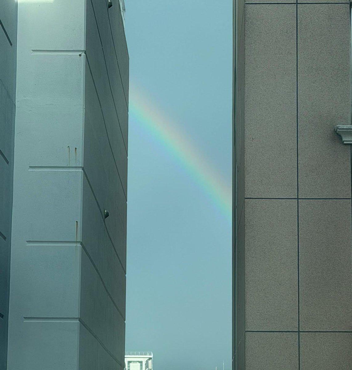 X_Aether222's tweet photo. 🌈오늘 아내가 찍어다 준 무지개🌈 https://t.co/yBMArJ4KHR