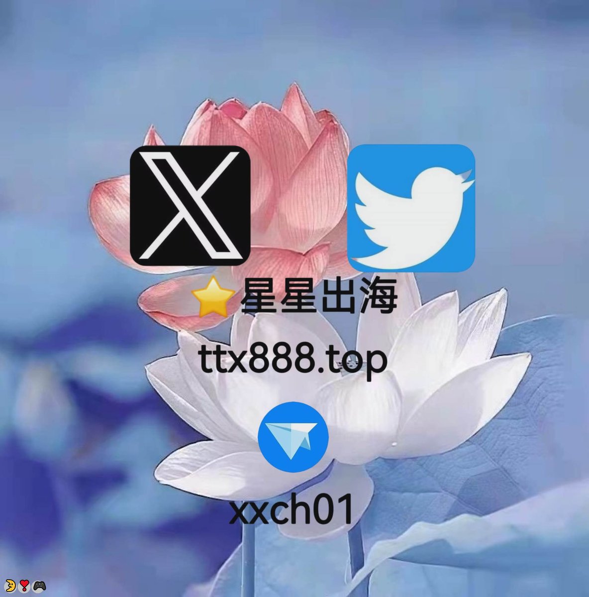 appla659173's tweet photo. 代发 🎉引流推广
❤️新加坡cos🌈足球
🎊白号💫推特矩阵账号
✨金湖😆桐城😀中山
✨按摩 https://t.co/SGhEDv2bVT