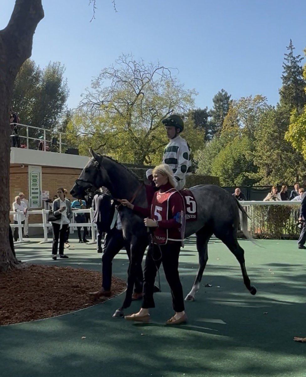 K_scottracing's tweet photo. Naana’s Shadow 7th 
Luna A Inbhir Nis 11th 

Very proud of the girls who acquitted themselves well from tough draws.

We will be back for more! https://t.co/jFySKzS7jF