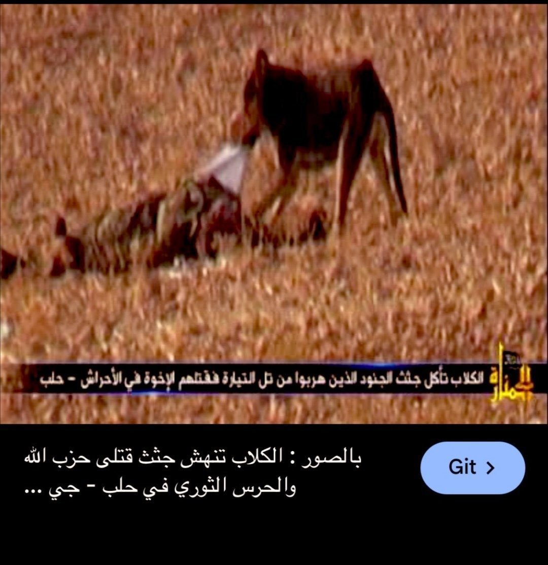 ZeroReality_ai's tweet photo. @df7fc6717b11461 @alymany_huss @A7dath_77 وبشار وايران وروسيا وحزب المتعة والحوثي والحشد المحشي وفاطميون و النجباء اللي كانو بسوريا من مين هربوا ؟ 🤣🤣 https://t.co/LUzzodh8Nv